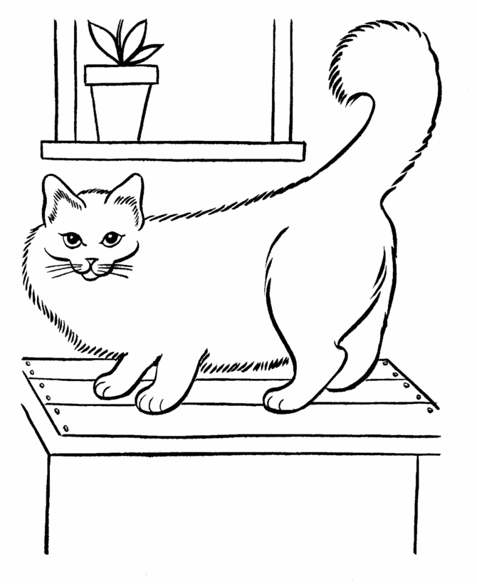 Pet Cat Coloring Pages | Big fluffy pet cat Coloring Pages and ...