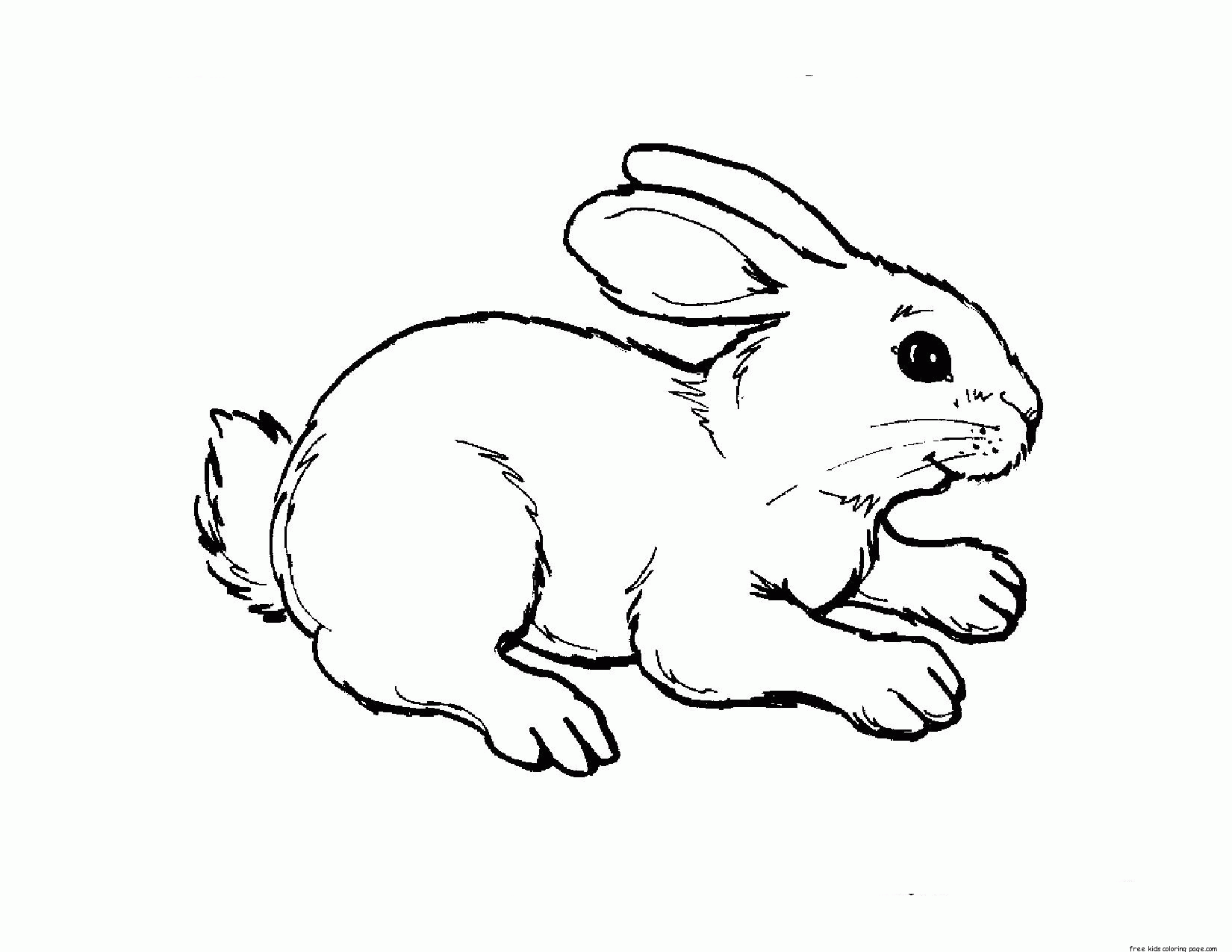 Printable Kids Coloring Pages Animal White Rabbit - VoteForVerde.com