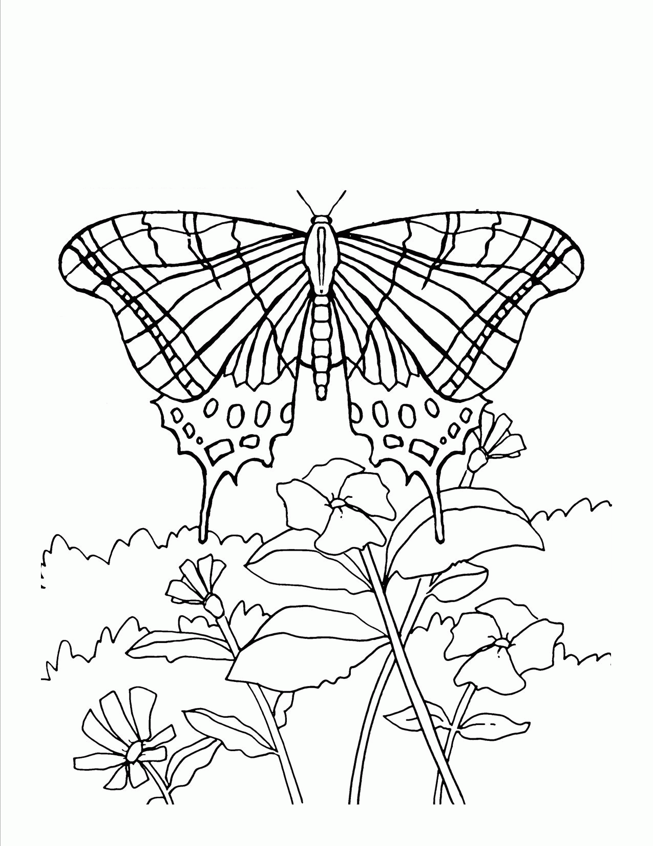Butterfly Flower Coloring Page - Coloring Pages For All Ages