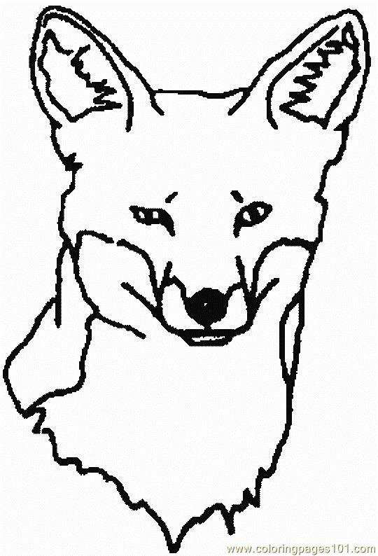 Fox face Coloring Page - Free Fox Coloring Pages ...