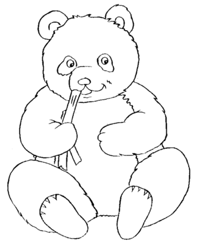 Baby Panda Coloring Sheets - Kids Colouring Pages