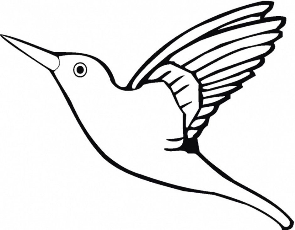 Download Flying Parrot Bird Coloring Page Or Print Flying Parrot