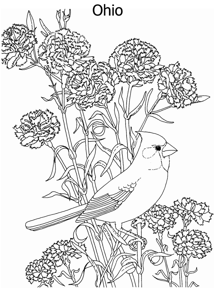 Coloring Pages Of Flowers And Birds 3 | Free Printable Coloring Pages