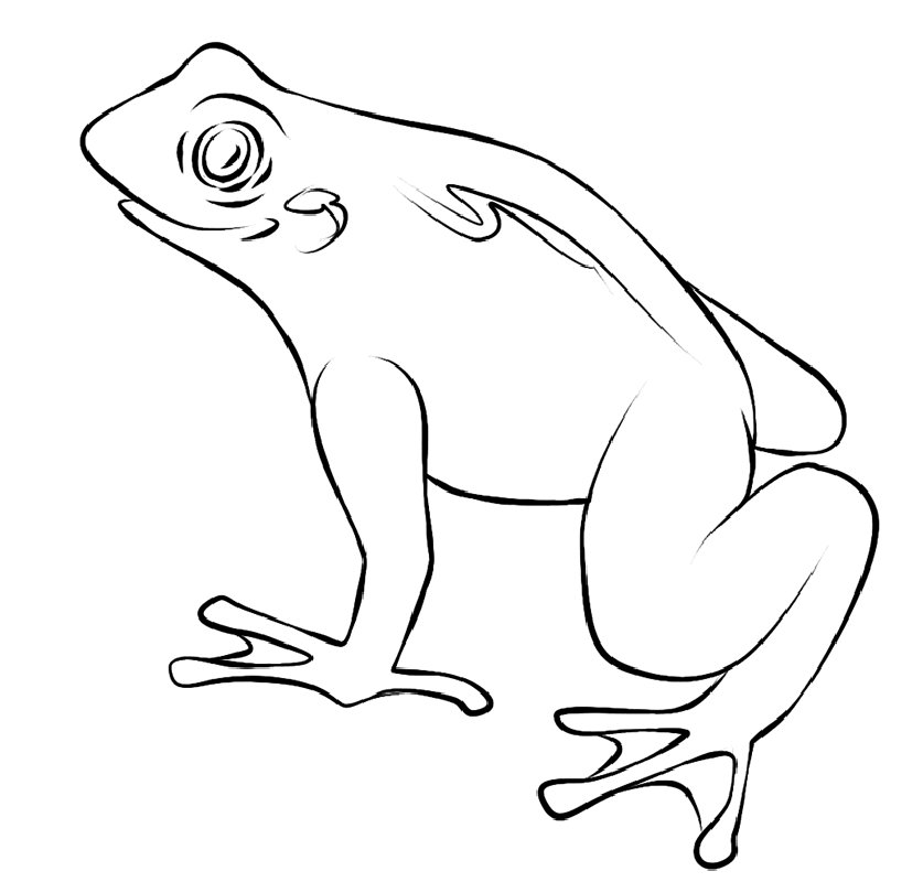 Frogs Coloring Pages 9 | Free Printable Coloring Pages