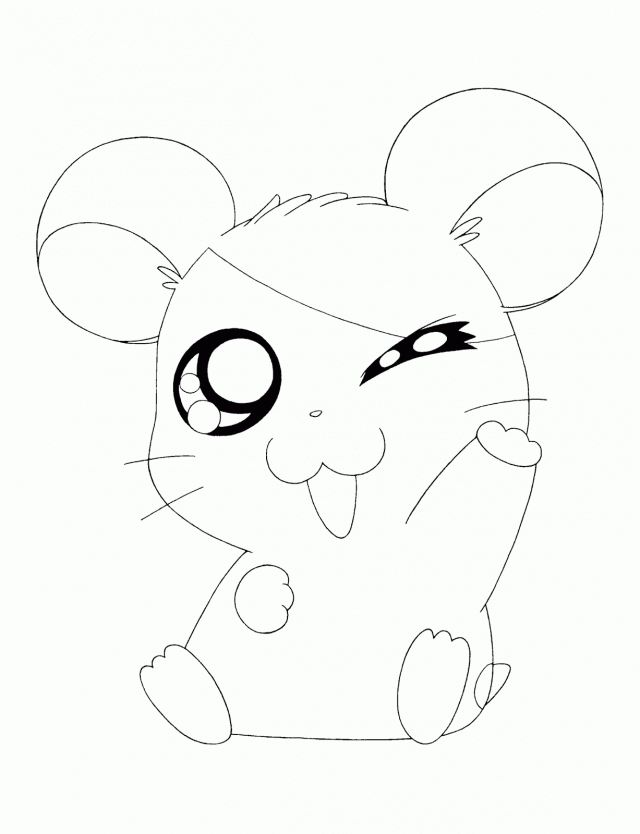 Cute Hamster Coloring Pages Sgmpohio 235550 Hamster Coloring Pages