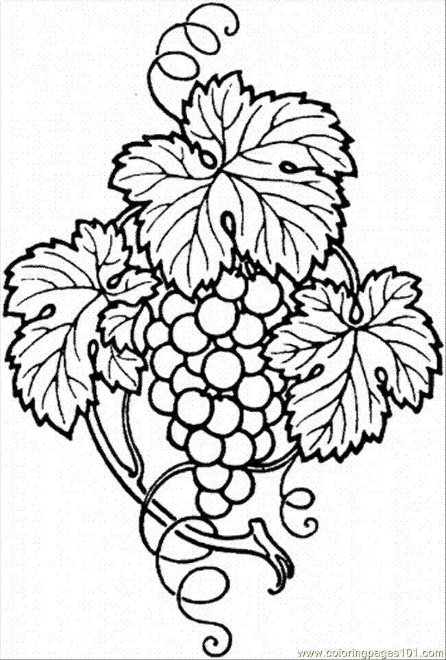 Grape leaf Colouring Pages