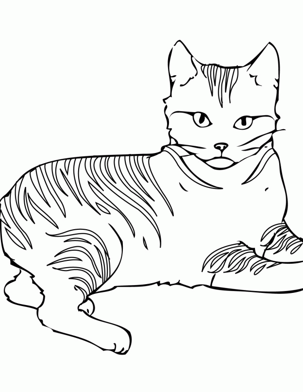 kitty dolphin Colouring Pages