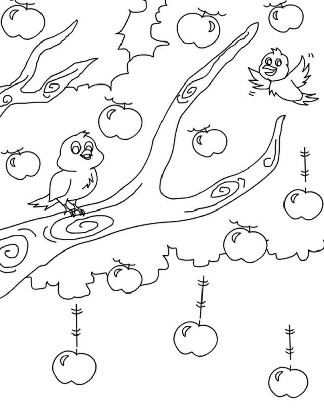 Tree Coloring Pages Apple Tree And Bird Coloring Page Kids 152127