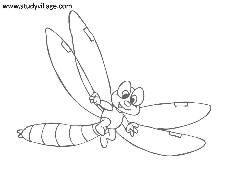 Insect Coloring Pages Free Coloring Pages For Kidsfree Coloring