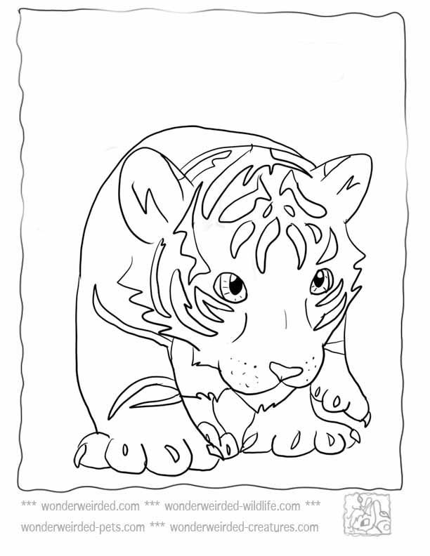 Pin by LucyLearns.com ( Official) on &gtLL< Coloring Sheets Animals | P…