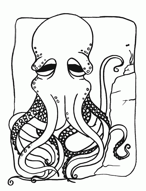 Coloring Pages For Octopus | Top Coloring Pages