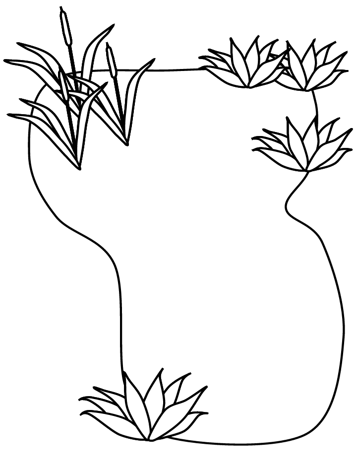 a pond Colouring Pages