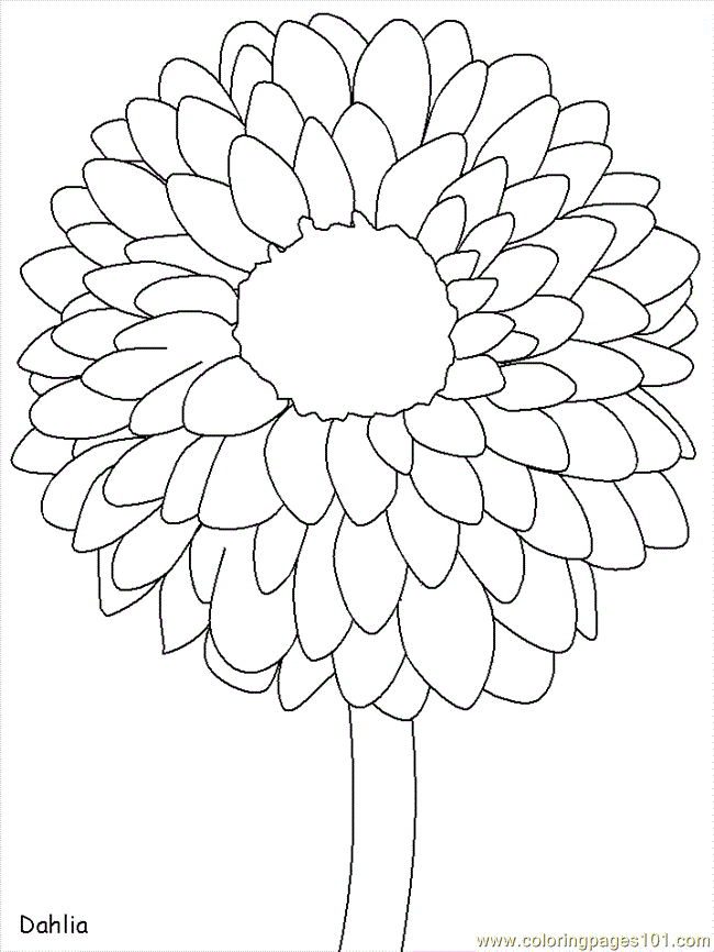 realistc flowers Colouring Pages (page 2)