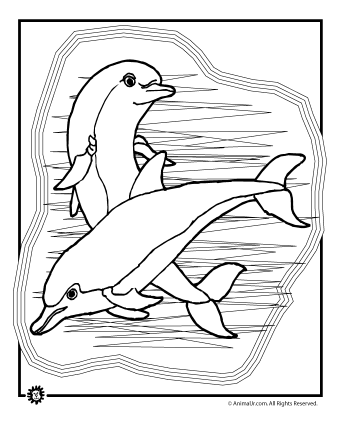 Dolphin Coloring
