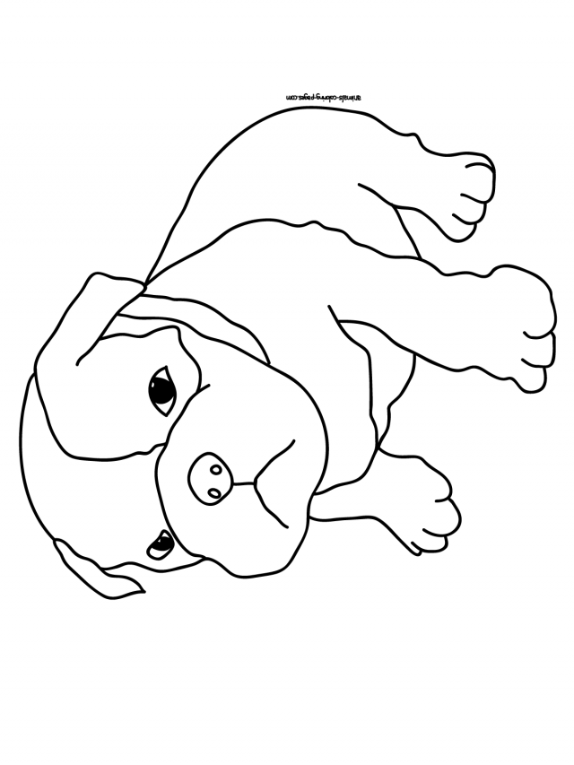 Christmas Coloring Pages Of Kids Dogs And More Kitten And Puppy