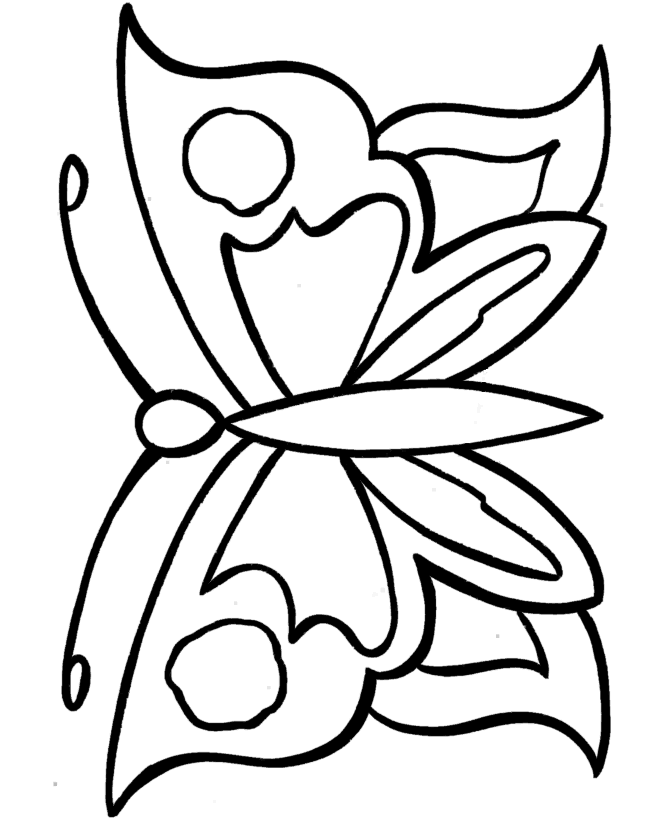 Butterfly Outline Coloring Page Animal Outlines Tattoo