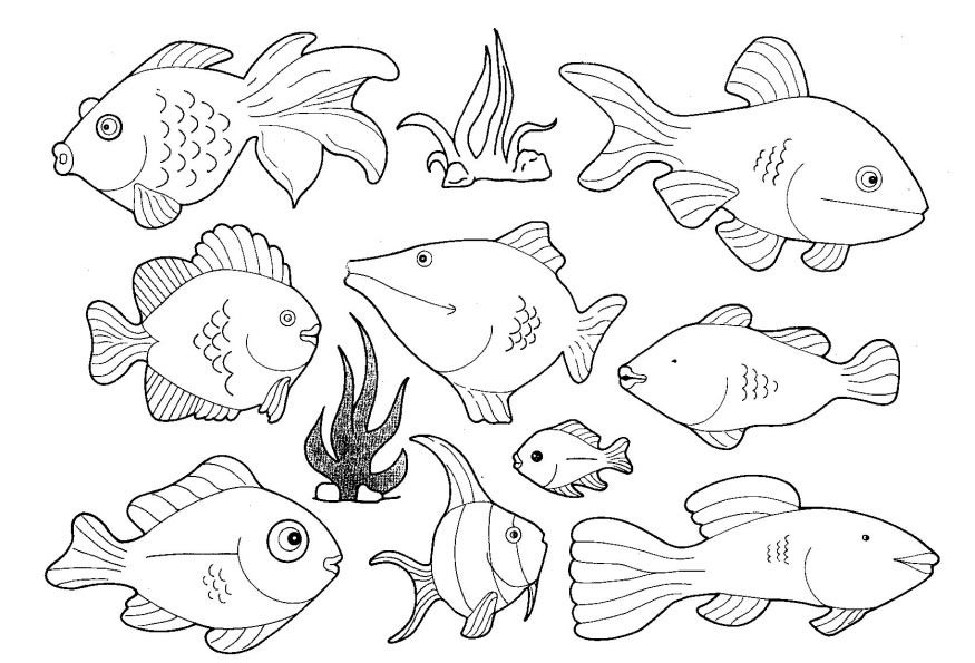 deep sea angler fish Colouring Pages