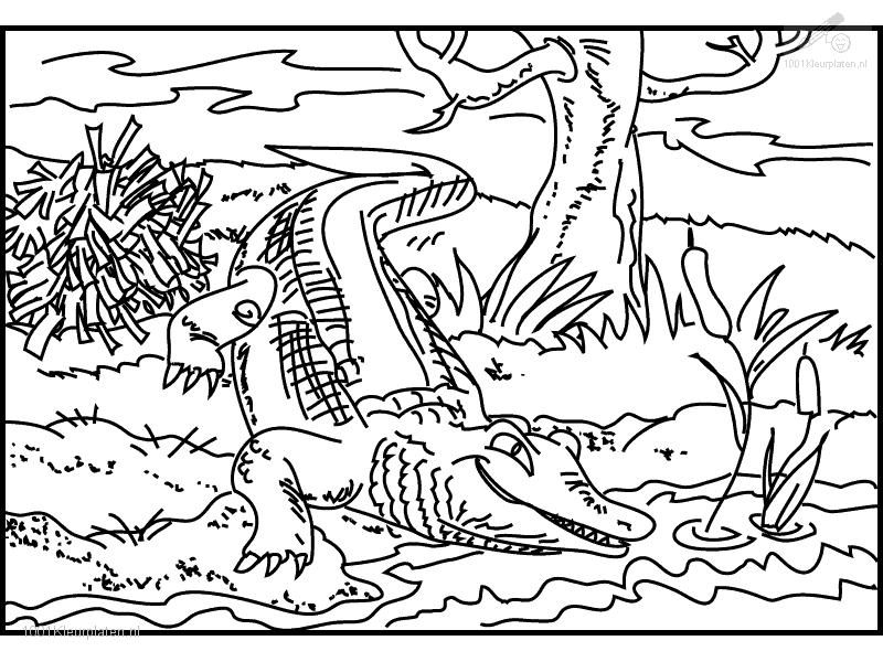 Crocodile coloring pages for kids | Coloring Pages