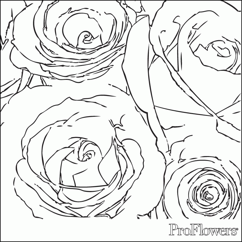Roses-coloring-pages-7 | Free Coloring Page Site