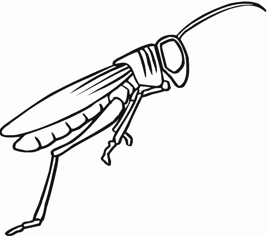 Grasshopper Coloring Pages Grasshopper Coloring Page For 176688