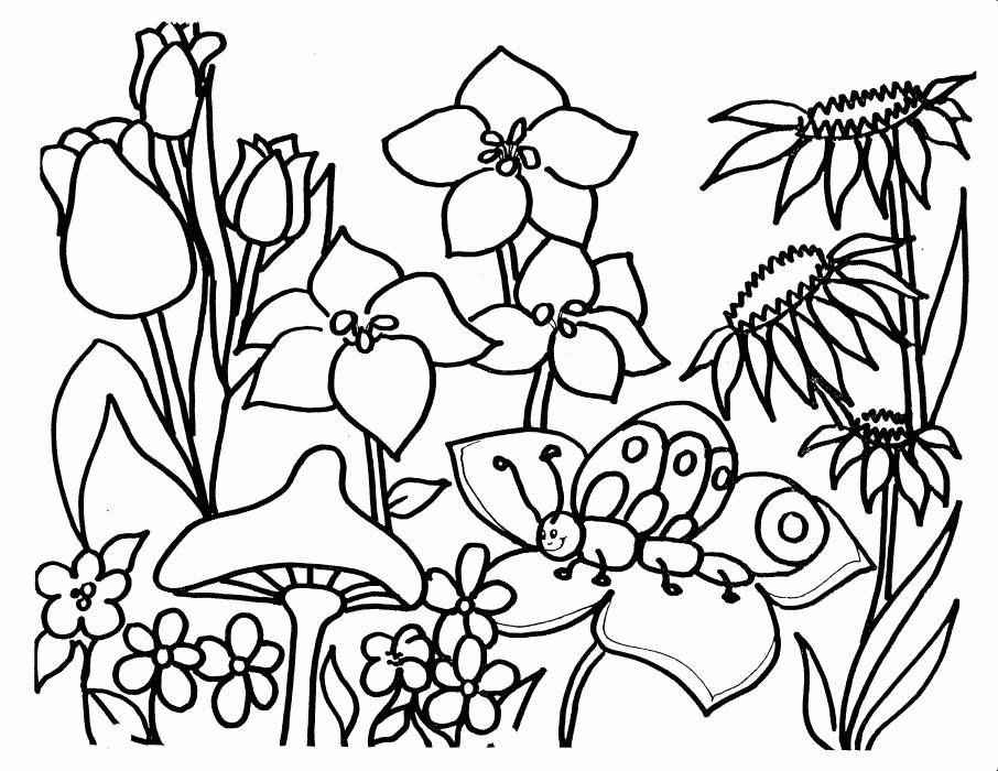 free coloring pages for kids flowers | Coloring Picture HD For