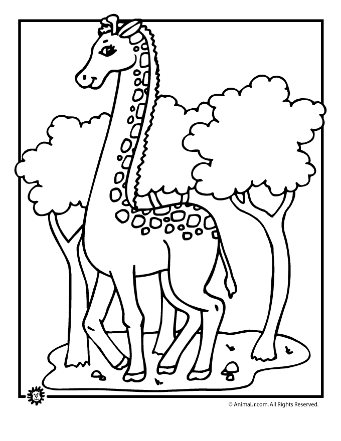 Giraffe To Color