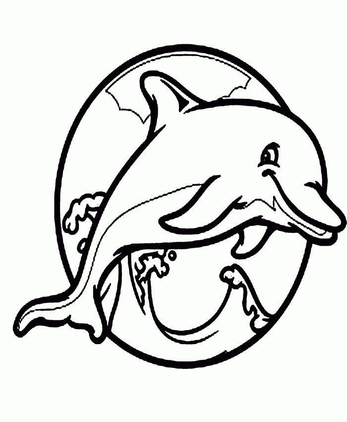 Dolphin The Fish Very Cute And Cool Coloring Pages - Dolphin