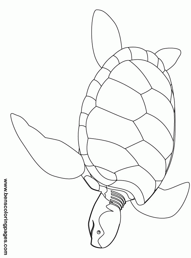 the jungle book movie coloring pages kaa pithon