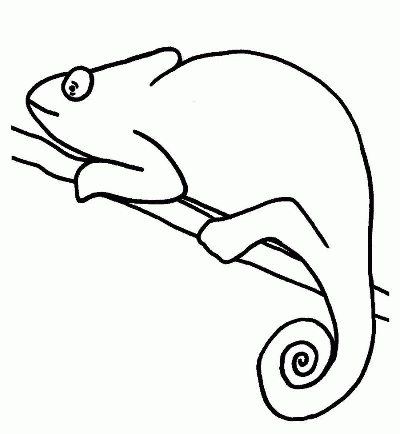 Chameleon Coloring Pages For Kids - HD Printable Coloring Pages