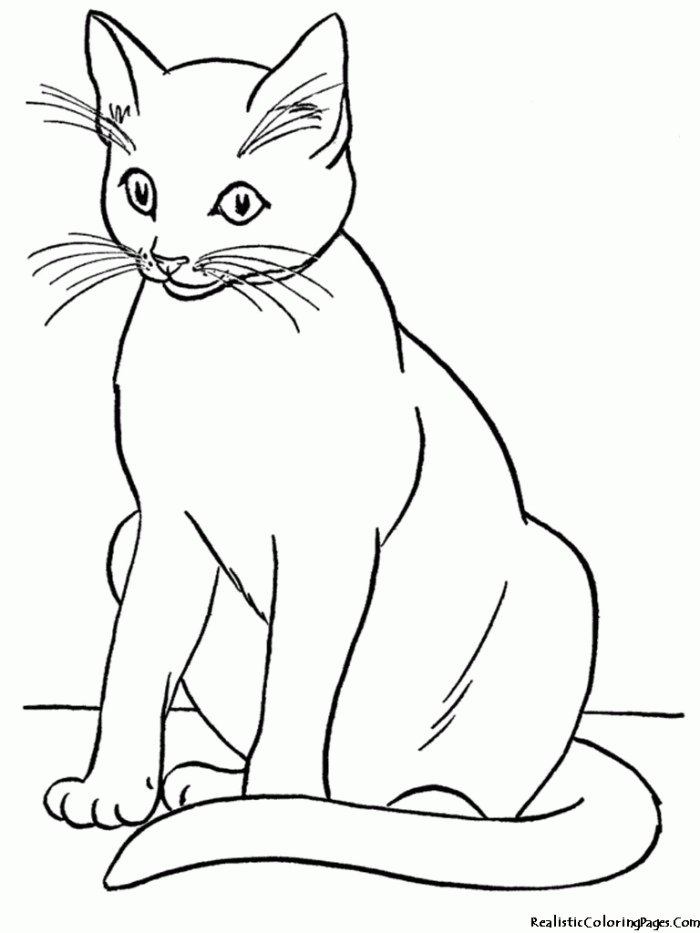 Siamese Cat Coloring Pages | 99coloring.com