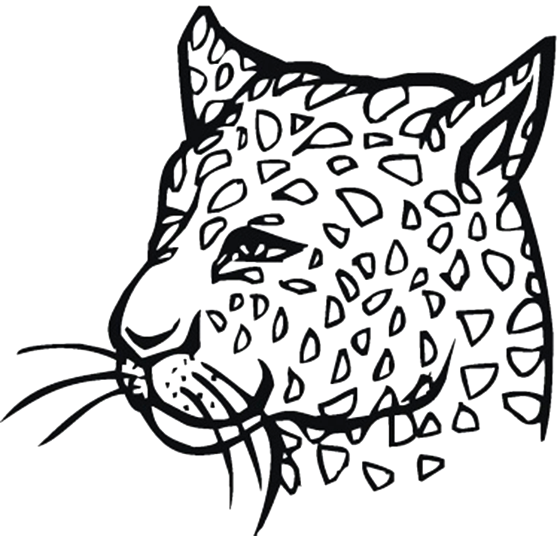Cheetah Mask Coloring Page | Coloring