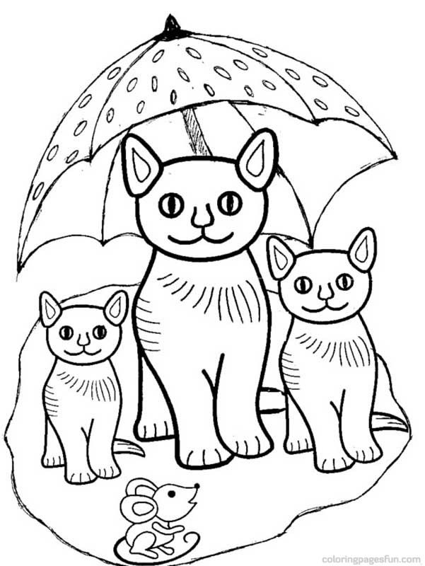 Cats and Kitten Coloring Pages 19 | Free Printable Coloring Pages