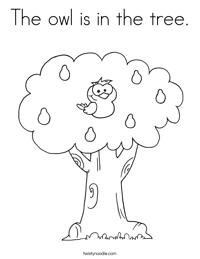 owl tree Colouring Pages