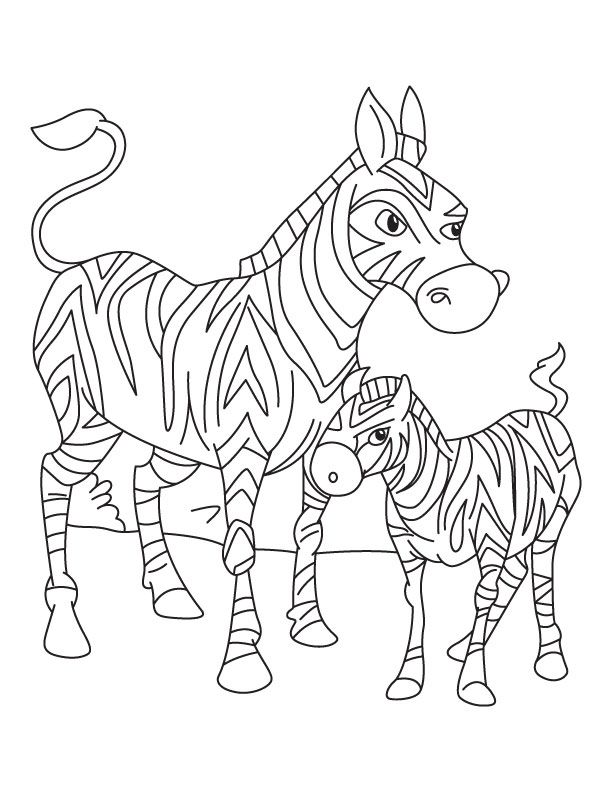 Zebra mother standing with its just born foal coloring page