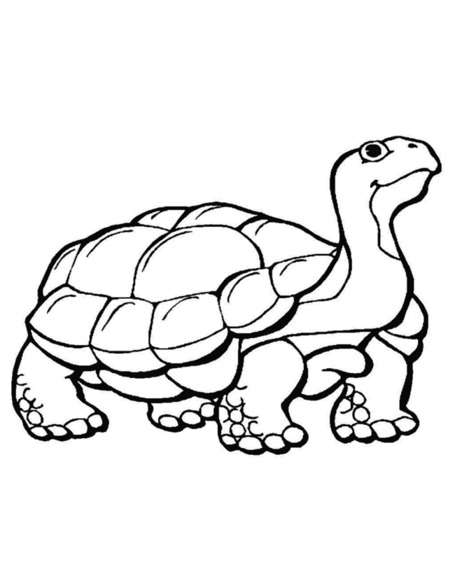 Coloring Pages To Print Animals : Coloring Pages To Print Animals