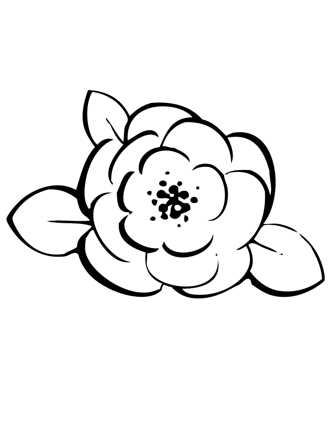 Rose Line Art Coloring Page | Free Printable Coloring Pages