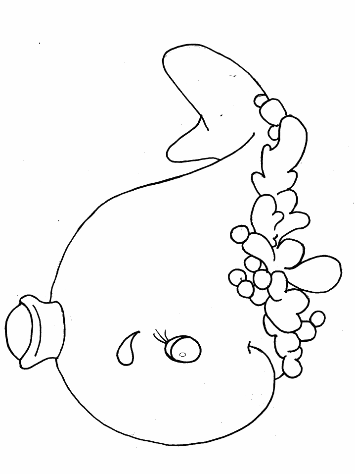 Whale Coloring Pages For Kids - Free Printable Coloring Pages