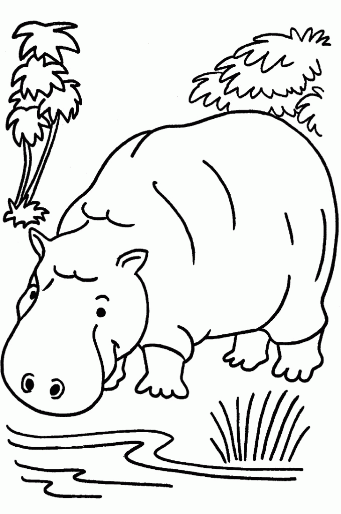 Jungle Animals Hipo Coloring Pages for Kids | Coloring Pages