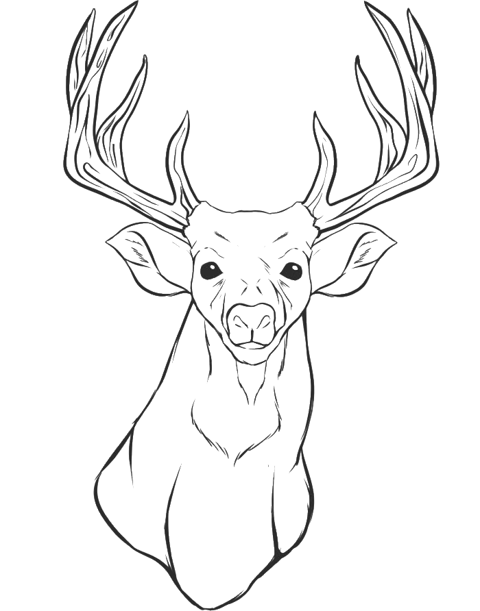 A Deer Head Coloring For Kids - animal Coloring Pages : Free