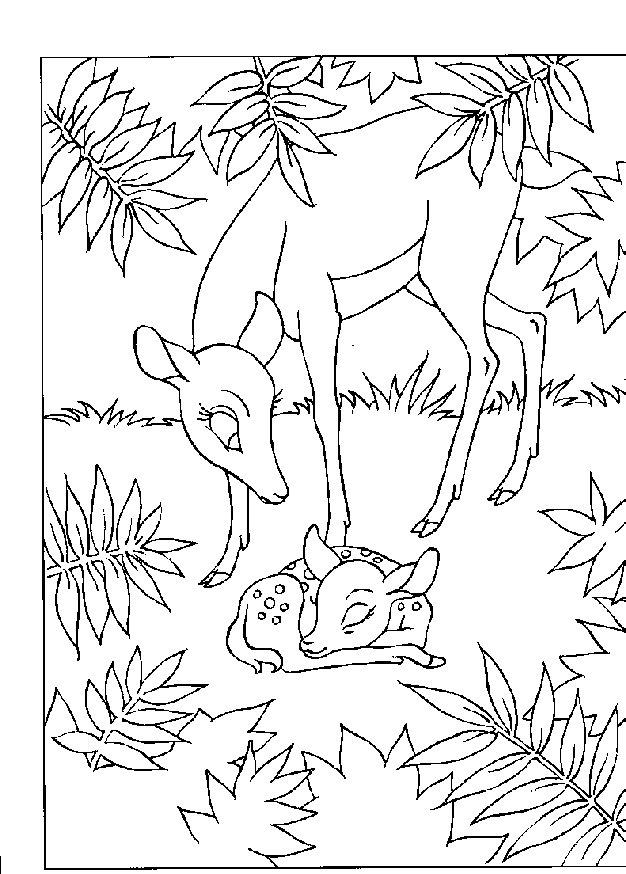 Coloring Page - Bambi coloring pages 14