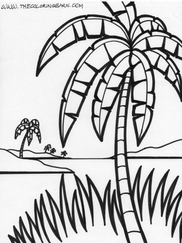 Palm Tree Coloring Page 184914 Coloring Pages Palm Trees