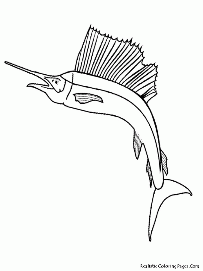 Tropical Fish Coloring Pages Kids | 99coloring.com