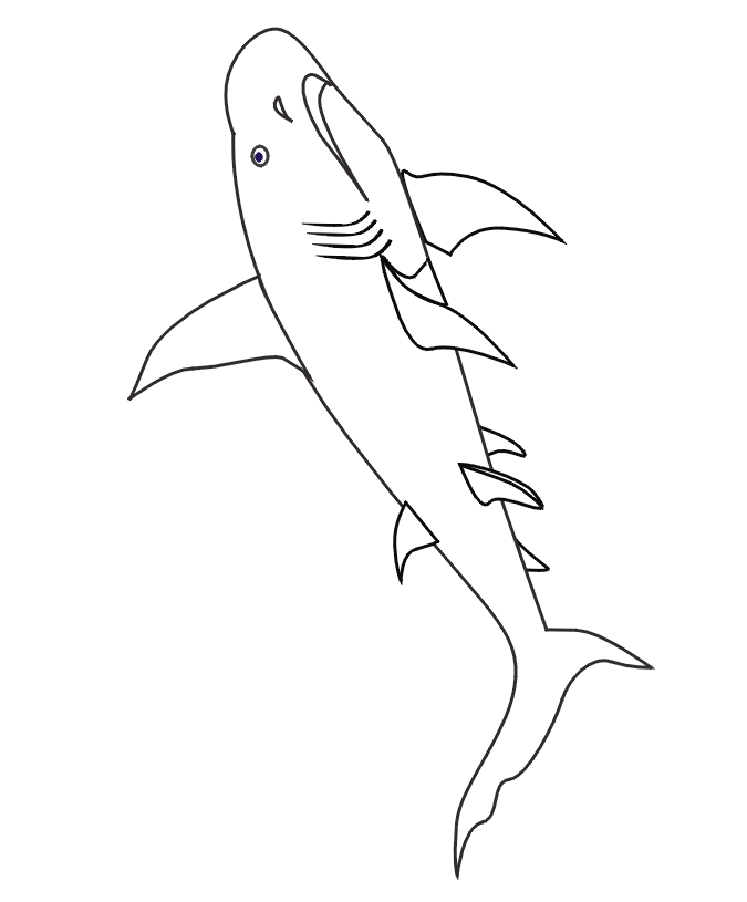 real sharks Colouring Pages