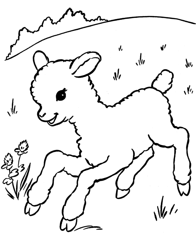 wonderful Lamb Coloring Pages For Kids | Great Coloring Pages