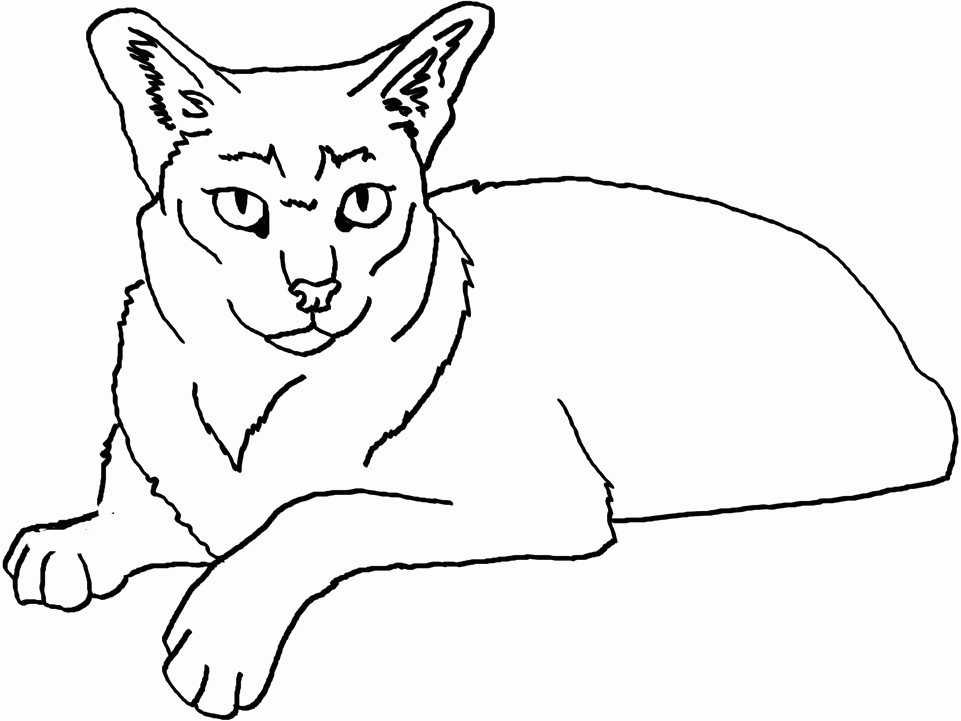 The Jungle Cat Coloring Pages - Cat Coloring Pages : iKids
