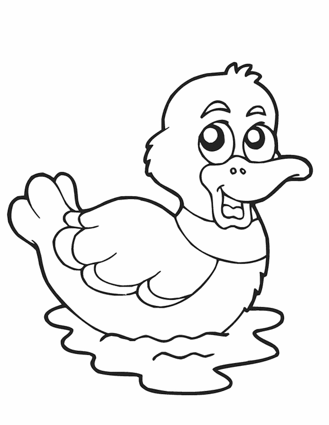 spring duck printable coloring pages