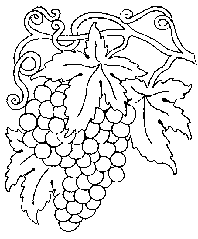 Grapes Coloring Pages 171 | Free Printable Coloring Pages