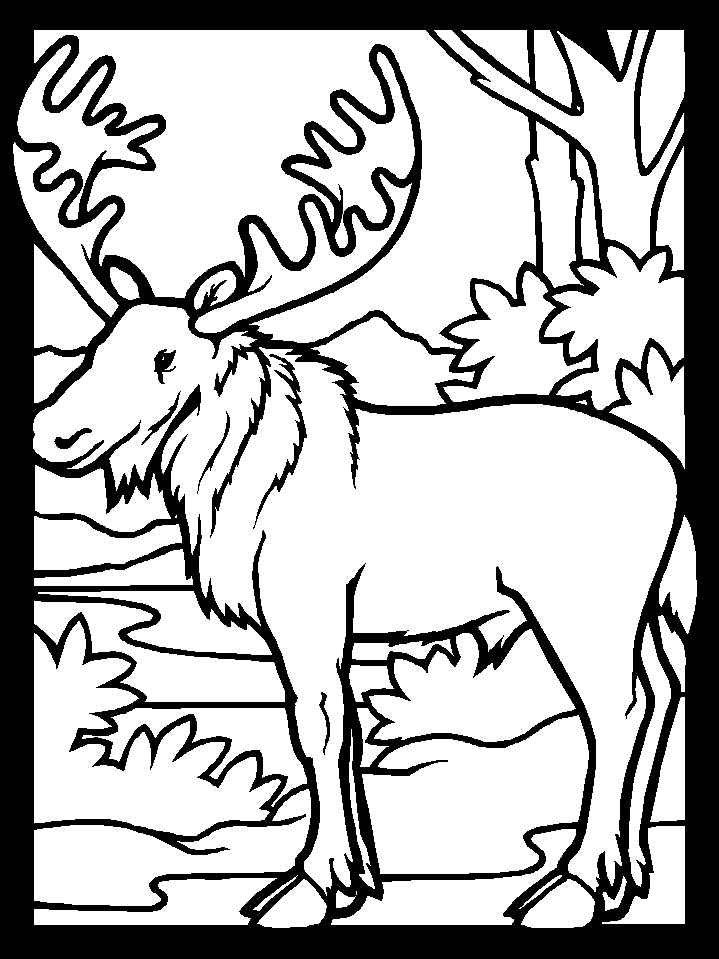 Moose-coloring-2 | Free Coloring Page Site