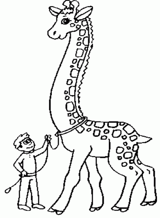 Download Giraffe Coloring Pages Printable Or Print Giraffe