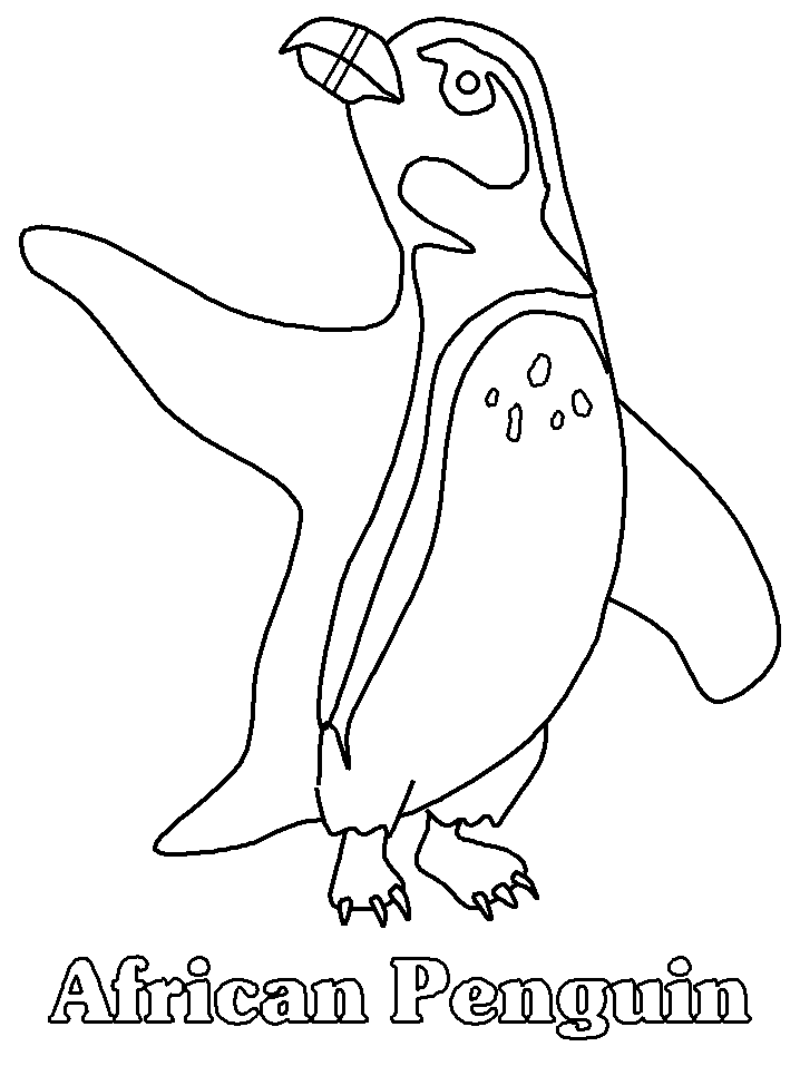 Printable Penguins 12 Animals Coloring Pages 